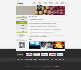 2014年網(wǎng)頁(yè)設(shè)計(jì)項(xiàng)目回顧 響應(yīng)式設(shè)計(jì)與扁平化美學(xué)的興起
